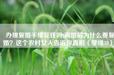 办理复婚手续花钱吗(离婚后为什么要复婚？这个农村女人告诉你真相（孽缘38）)