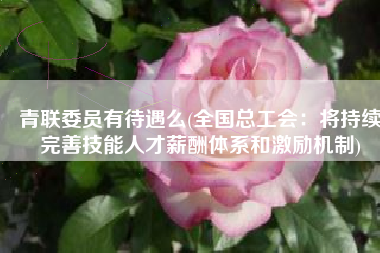 青联委员有待遇么(全国总工会：将持续完善技能人才薪酬体系和激励机制)