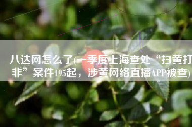 八达网怎么了(一季度上海查处“扫黄打非”案件195起，涉黄网络直播APP被查)