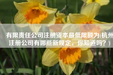 有限责任公司注册资本最低限额为(杭州注册公司有哪些新规定，你知道吗？)