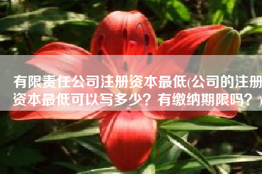 有限责任公司注册资本最低(公司的注册资本最低可以写多少？有缴纳期限吗？)