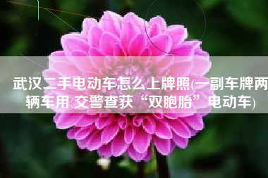 武汉二手电动车怎么上牌照(一副车牌两辆车用 交警查获“双胞胎”电动车)