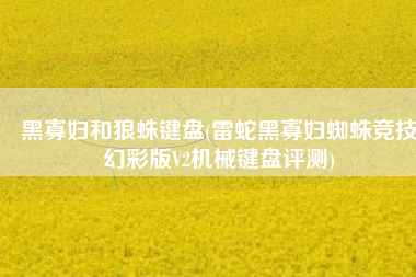 黑寡妇和狼蛛键盘(雷蛇黑寡妇蜘蛛竞技幻彩版V2机械键盘评测)