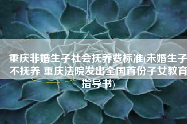 重庆非婚生子社会抚养费标准(未婚生子不抚养 重庆法院发出全国首份子女教育指导书)