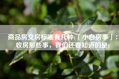 商品房交房标准有几种(「小白房事」：收房那些事，我们还要知道的是)