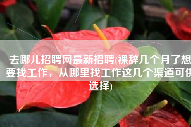 去哪儿招聘网最新招聘(裸辞几个月了想要找工作，从哪里找工作这几个渠道可供选择)