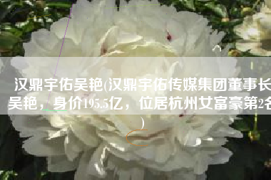 汉鼎宇佑吴艳(汉鼎宇佑传媒集团董事长吴艳，身价195.5亿，位居杭州女富豪第2名)