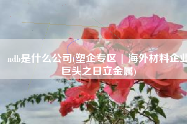 ndb是什么公司(塑企专区 | 海外材料企业巨头之日立金属)