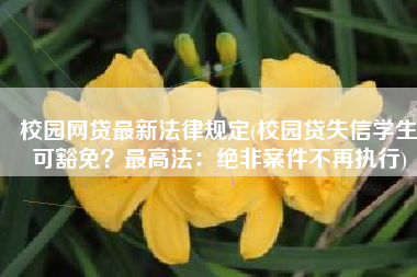 校园网贷最新法律规定(校园贷失信学生可豁免？最高法：绝非案件不再执行)