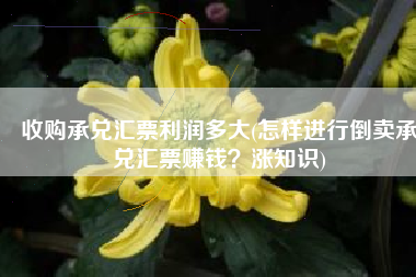 收购承兑汇票利润多大(怎样进行倒卖承兑汇票赚钱？涨知识)