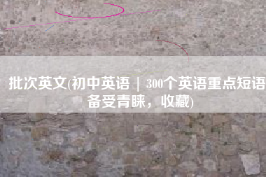 批次英文(初中英语 | 300个英语重点短语，备受青睐，收藏)