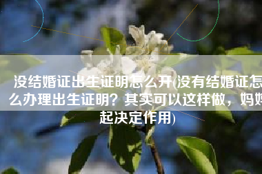 没结婚证出生证明怎么开(没有结婚证怎么办理出生证明？其实可以这样做，妈妈起决定作用)