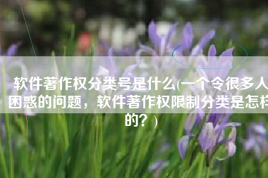 软件著作权分类号是什么(一个令很多人困惑的问题，软件著作权限制分类是怎样的？)