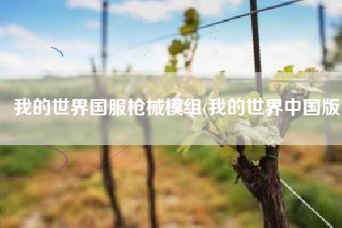 我的世界国服枪械模组(我的世界中国版)