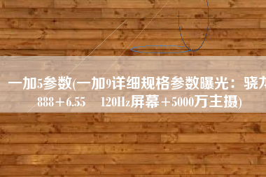 一加5参数(一加9详细规格参数曝光：骁龙888+6.55吋120Hz屏幕+5000万主摄)
