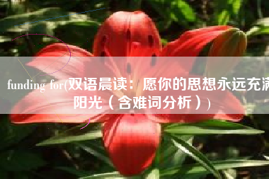 funding for(双语晨读：愿你的思想永远充满阳光（含难词分析）)