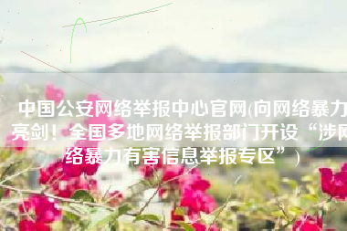 中国公安网络举报中心官网(向网络暴力亮剑！全国多地网络举报部门开设“涉网络暴力有害信息举报专区”)
