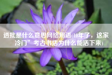 透批是什么意思网络用语(10年了，这家“冷门”考古书店为什么能活下来)