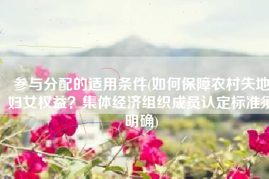 参与分配的适用条件(如何保障农村失地妇女权益？集体经济组织成员认定标准须明确)
