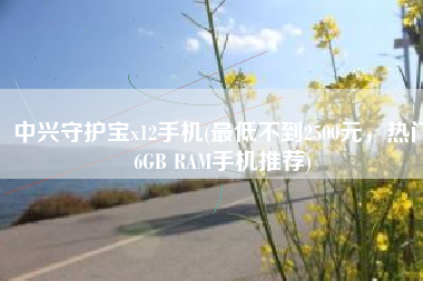 中兴守护宝x12手机(最低不到2500元，热门6GB RAM手机推荐)