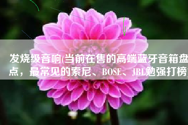 发烧级音响(当前在售的高端蓝牙音箱盘点，最常见的索尼、BOSE、JBL勉强打榜)