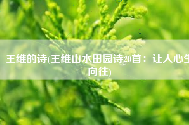 王维的诗(王维山水田园诗20首：让人心生向往)