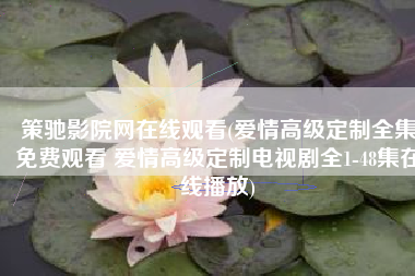 策驰影院网在线观看(爱情高级定制全集免费观看 爱情高级定制电视剧全1-48集在线播放)