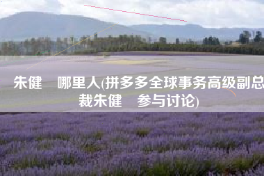 朱健翀哪里人(拼多多全球事务高级副总裁朱健翀参与讨论)