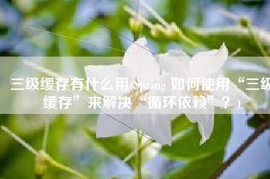 三级缓存有什么用(Spring 如何使用“三级缓存”来解决“循环依赖”？)
