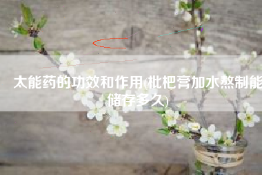 太能药的功效和作用(枇杷膏加水熬制能储存多久)