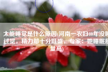 太能睡觉是什么原因(河南一农妇40年没睡过觉，精力却十分旺盛，专家：她睡眠质量高)
