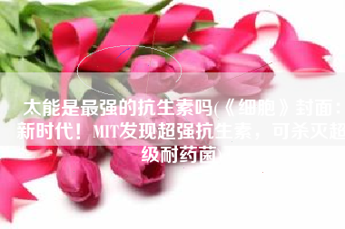 太能是最强的抗生素吗(《细胞》封面：新时代！MIT发现超强抗生素，可杀灭超级耐药菌)