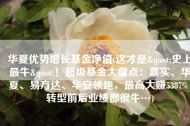 华夏优势增长基金净值(这才是"史上最牛"！超级基金大盘点：嘉实、华夏、易方达、华安领跑，最高大赚5387%！转型前后业绩都很牛…)