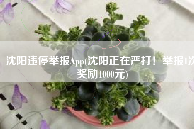 沈阳违停举报App(沈阳正在严打！举报1次奖励1000元)