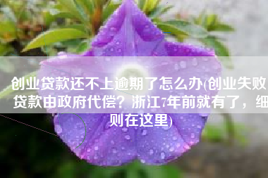 创业贷款还不上逾期了怎么办(创业失败，贷款由政府代偿？浙江7年前就有了，细则在这里)