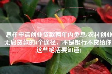 怎样申请创业贷款两年内免息(农村创业无息贷款的4个途径，不是银行不贷给你，这些绝活要知道)
