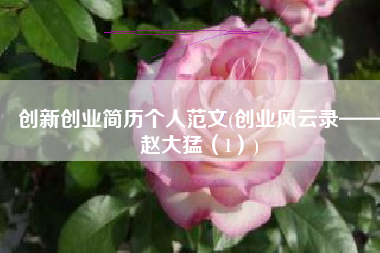 创新创业简历个人范文(创业风云录——赵大猛（1）)