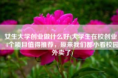 女生大学创业做什么好(大学生在校创业，4个项目值得推荐，原来我们都小看校园外卖了)