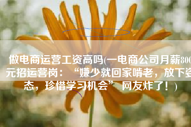 做电商运营工资高吗(一电商公司月薪800元招运营岗：“嫌少就回家啃老，放下姿态，珍惜学习机会” 网友炸了！)