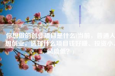 你想做的创业项目是什么(当前，普通人想创业，选择什么项目钱好赚、投资小、风险低？)