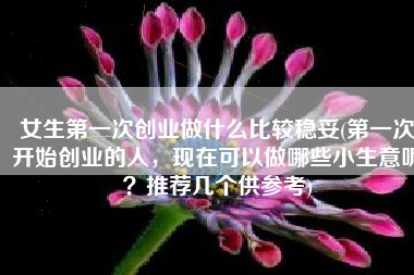 女生第一次创业做什么比较稳妥(第一次开始创业的人，现在可以做哪些小生意呢？推荐几个供参考)