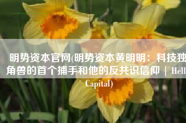 明势资本官网(明势资本黄明明：科技独角兽的首个捕手和他的反共识信仰 | Hello Capital)