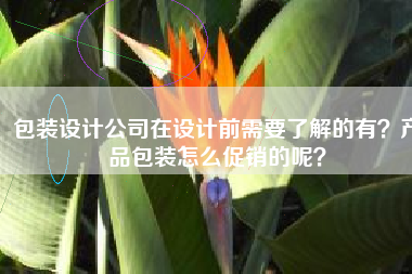 包装设计公司在设计前需要了解的有？产品包装怎么促销的呢？