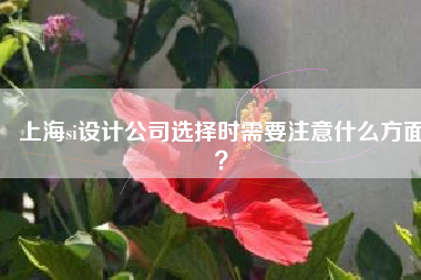 上海si设计公司选择时需要注意什么方面？