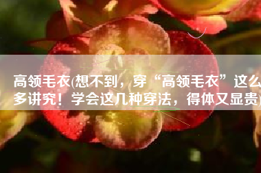 高领毛衣(想不到，穿“高领毛衣”这么多讲究！学会这几种穿法，得体又显贵)