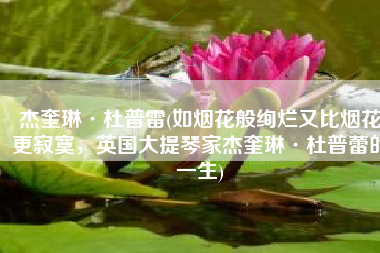 杰奎琳·杜普雷(如烟花般绚烂又比烟花更寂寞，英国大提琴家杰奎琳·杜普蕾的一生)