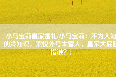 小马宝莉皇家婚礼(小马宝莉：不为人知的冷知识，紫悦外号太雷人，皇家大屁股指谁？)