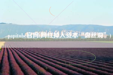 papitube官网(网红掉入资本“盘丝洞”)