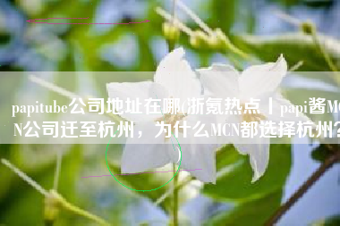 papitube公司地址在哪(浙氪热点丨papi酱MCN公司迁至杭州，为什么MCN都选择杭州？)