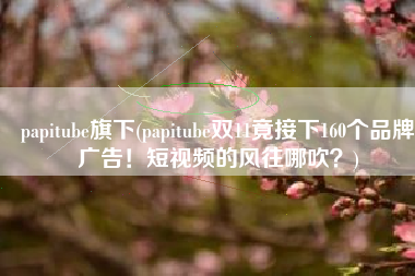papitube旗下(papitube双11竟接下160个品牌广告！短视频的风往哪吹？)